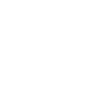 Sentinel Risk Insurance Group White